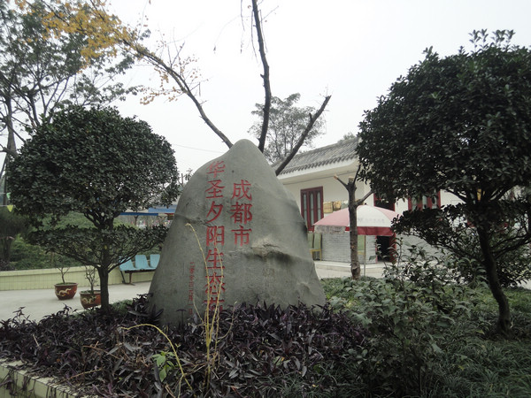 成都市老齡事業發展基金會